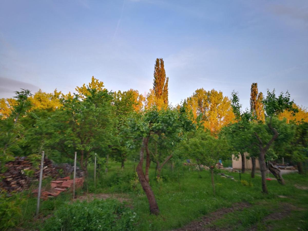 Patak Apartman, Diszel Tapolca Exterior foto